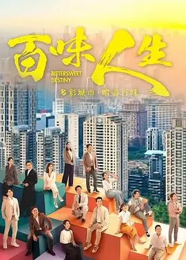 归途有风 都市情感剧全集